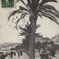 06-Cannes-La-Croisette-1916