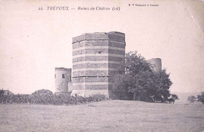 01-TREVOUX-Ruines-du-chateau.jpg